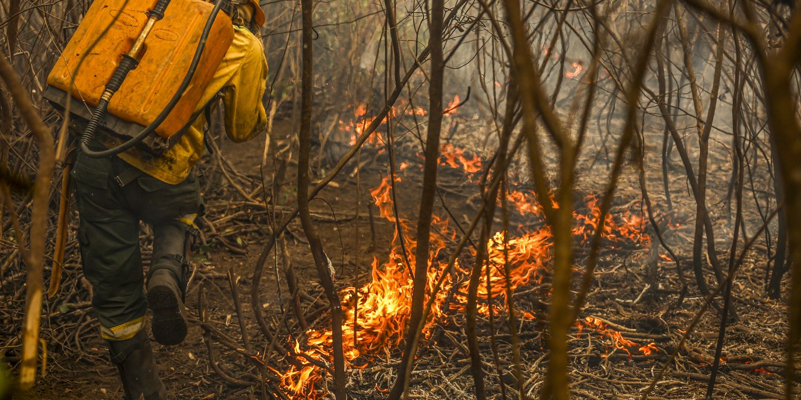 Governo lança painel inédito para rastrear gastos ambientais Governo lança painel inédito para rastrear gastos ambientais