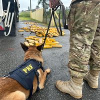 PRF apreende quase meia tonelada de droga escondida em pneus de carreta, na BR-277 Imagem referente a PRF apreende quase meia tonelada de droga escondida em pneus de carreta, na BR-277