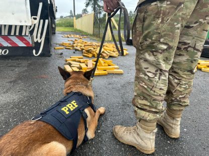 Imagem referente a PRF apreende quase meia tonelada de droga escondida em pneus de carreta, na BR-277