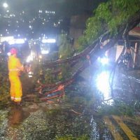 Ciclone deixa 2 milhões de clientes sem energia em São Paulo Imagem referente a Ciclone deixa 2 milhões de clientes sem energia em São Paulo