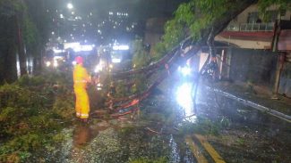 Ciclone deixa 2 milhões de clientes sem energia em São Paulo