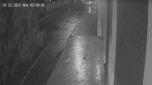 Câmera flagra árvore gigante caindo no Centro de Cascavel Imagem referente a Câmera flagra árvore gigante caindo no Centro de Cascavel