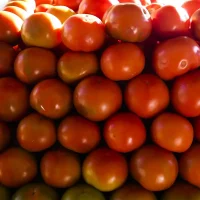 Inflação da comida em casa cai 0,2% em novembro, sexto recuo seguido Imagem referente a Inflação da comida em casa cai 0,2% em novembro, sexto recuo seguido