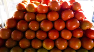 Inflação da comida em casa cai 0,2% em novembro, sexto recuo seguido Inflação da comida em casa cai 0,2% em novembro, sexto recuo seguido