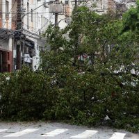 Prefeitura fecha todos os parques de São Paulo por causa dos ventos Imagem referente a Prefeitura fecha todos os parques de São Paulo por causa dos ventos