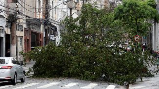 Prefeitura fecha todos os parques de São Paulo por causa dos ventos