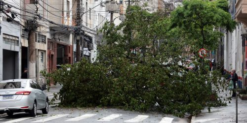 Prefeitura fecha todos os parques de São Paulo por causa dos ventos Imagem referente a Prefeitura fecha todos os parques de São Paulo por causa dos ventos