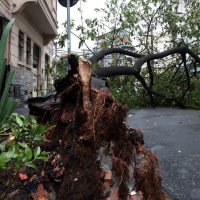 São Paulo enfrenta ventos de quase 100 km/h nesta quarta-feira Imagem referente a São Paulo enfrenta ventos de quase 100 km/h nesta quarta-feira