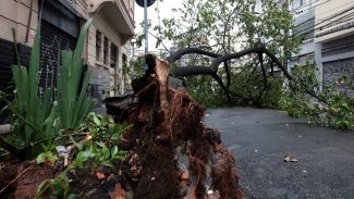 São Paulo enfrenta ventos de quase 100 km/h nesta quarta-feira