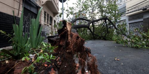 Imagem referente a São Paulo enfrenta ventos de quase 100 km/h nesta quarta-feira