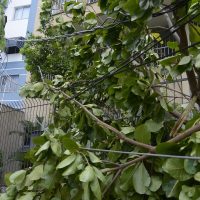 Rio registra fortes ventos devido à passagem de frente fria Imagem referente a Rio registra fortes ventos devido à passagem de frente fria