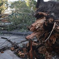 MIDR reconhece situação de emergência em 21 municípios Imagem referente a MIDR reconhece situação de emergência em 21 municípios