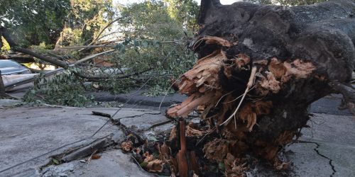 MIDR reconhece situação de emergência em 21 municípios Imagem referente a MIDR reconhece situação de emergência em 21 municípios