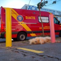 Atropelamento na Avenida Papagaios: Cachorro morre e motociclistas ficam feridos Imagem referente a Atropelamento na Avenida Papagaios: Cachorro morre e motociclistas ficam feridos