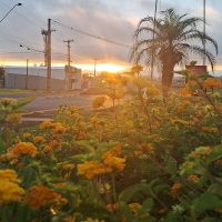 Sol aparece em Cascavel, mas confiança segue baixa: “não me surpreenderia se chovesse hoje” Imagem referente a Sol aparece em Cascavel, mas confiança segue baixa: “não me surpreenderia se chovesse hoje”