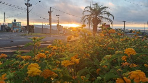Sol aparece em Cascavel, mas confiança segue baixa: “não me surpreenderia se chovesse hoje” Imagem referente a Sol aparece em Cascavel, mas confiança segue baixa: “não me surpreenderia se chovesse hoje”