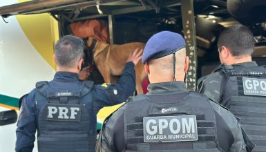 PRF e GM de Cascavel realizam operação conjunta com apoio do Canil Imagem referente a PRF e GM de Cascavel realizam operação conjunta com apoio do Canil
