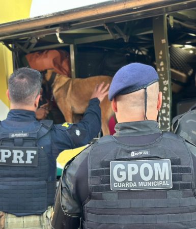 PRF e GM de Cascavel realizam operação conjunta com apoio do Canil Imagem referente a PRF e GM de Cascavel realizam operação conjunta com apoio do Canil