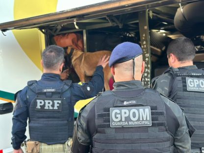 PRF e GM de Cascavel realizam operação conjunta com apoio do Canil Imagem referente a PRF e GM de Cascavel realizam operação conjunta com apoio do Canil