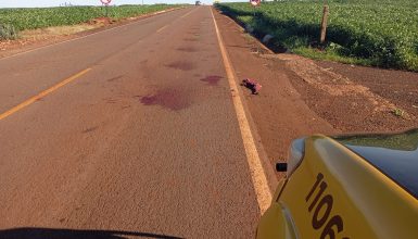 Motorista foge após atropelar pedestre na PR-180 e deixar vítima em estado grave Imagem referente a Motorista foge após atropelar pedestre na PR-180 e deixar vítima em estado grave
