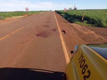 Imagem referente a Motorista foge após atropelar pedestre na PR-180 e deixar vítima em estado grave