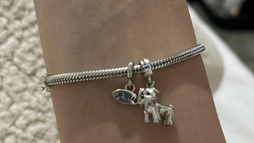 Foi perdido bolsa no bairro Centro Foi perdido bolsa no bairro Centro