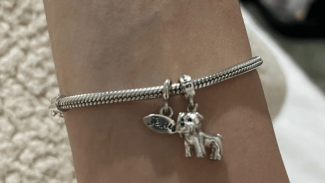 Foi perdido bolsa no bairro Centro Imagem referente a Foi perdido bolsa no bairro Centro