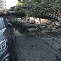 Comércio perde mais de R$ 50 milhões com falta de energia em São Paulo Imagem referente a Comércio perde mais de R$ 50 milhões com falta de energia em São Paulo