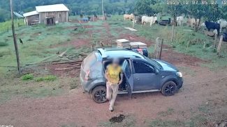 Câmeras registram chegada e saída de suspeito em sítio onde Fábio Guilhermino foi morto Câmeras registram chegada e saída de suspeito em sítio onde Fábio Guilhermino foi morto