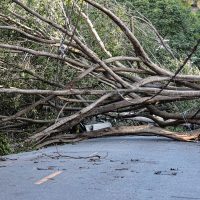 Mais de 1,3 milhão de imóveis continuam sem energia elétrica em SP Imagem referente a Mais de 1,3 milhão de imóveis continuam sem energia elétrica em SP