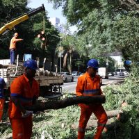 Imagem referente a Há dois dias sem luz, moradores de São Paulo se adaptam e protestam