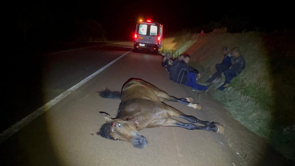 Cavalo morre atropelado por veículo Creta na BR-369 em Cascavel Cavalo morre atropelado por veículo Creta na BR-369 em Cascavel