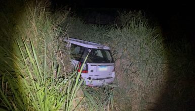 Imagem referente a Land Rover Freelander vai parar no matagal após acidente na BR-369