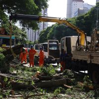 Dois dias após ciclone, SP ainda tem 800 mil moradores sem energia Imagem referente a Dois dias após ciclone, SP ainda tem 800 mil moradores sem energia