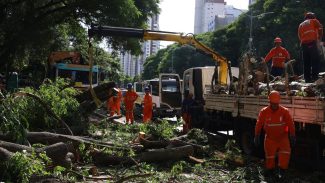 Dois dias após ciclone, SP ainda tem 800 mil moradores sem energia Dois dias após ciclone, SP ainda tem 800 mil moradores sem energia
