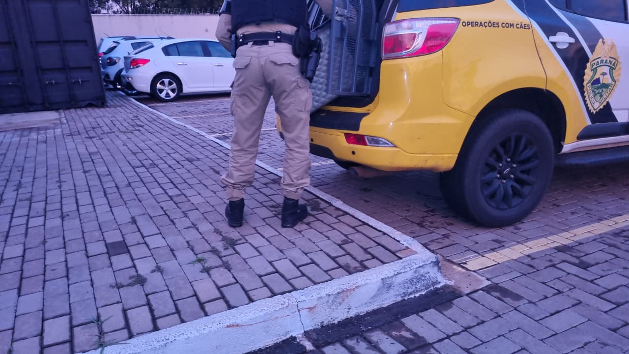 Mais de 20kg de maconha são encontrados em mala abandonada na rodoviária de Cascavel
