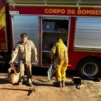 Mau tempo adia buscas pelo corpo da costureira Cíntia em Apucarana Imagem referente a Mau tempo adia buscas pelo corpo da costureira Cíntia em Apucarana