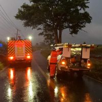 Bombeiros socorrem motorista após queda de postes em Apucarana Imagem referente a Bombeiros socorrem motorista após queda de postes em Apucarana
