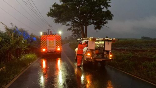 Bombeiros socorrem motorista após queda de postes em Apucarana Bombeiros socorrem motorista após queda de postes em Apucarana