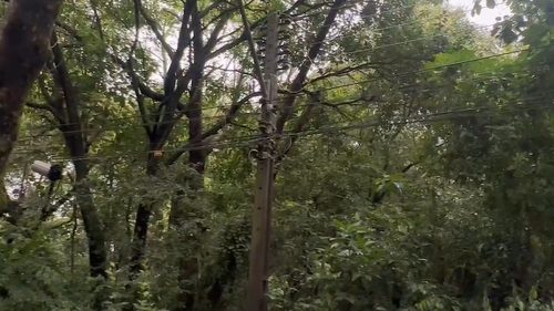 “Luz voltará até as 13h”, diz Copel sobre interrupção há mais de 17 horas na Região do Lago, em Cascavel “Luz voltará até as 13h”, diz Copel sobre interrupção há mais de 17 horas na Região do Lago, em Cascavel