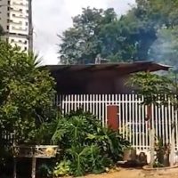 “Levei mais de 20 ferroadas”: Ataque de abelhas assusta moradores do Centro de Cascavel Imagem referente a “Levei mais de 20 ferroadas”: Ataque de abelhas assusta moradores do Centro de Cascavel