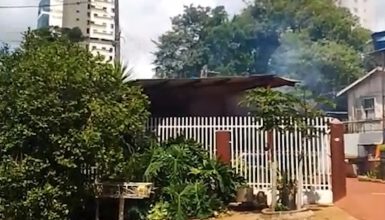 “Levei mais de 20 ferroadas”: Ataque de abelhas assusta moradores do Centro de Cascavel Imagem referente a “Levei mais de 20 ferroadas”: Ataque de abelhas assusta moradores do Centro de Cascavel