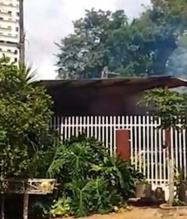 “Levei mais de 20 ferroadas”: Ataque de abelhas assusta moradores do Centro de Cascavel Imagem referente a “Levei mais de 20 ferroadas”: Ataque de abelhas assusta moradores do Centro de Cascavel