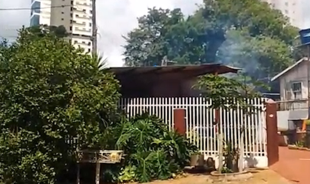 “Levei mais de 20 ferroadas”: Ataque de abelhas assusta moradores do Centro de Cascavel Imagem referente a “Levei mais de 20 ferroadas”: Ataque de abelhas assusta moradores do Centro de Cascavel