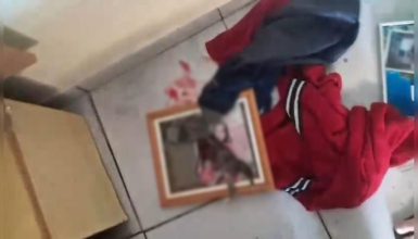 Homem de 28 anos é detido por violência doméstica e maus-tratos a animal na região Norte Imagem referente a Homem de 28 anos é detido por violência doméstica e maus-tratos a animal na região Norte