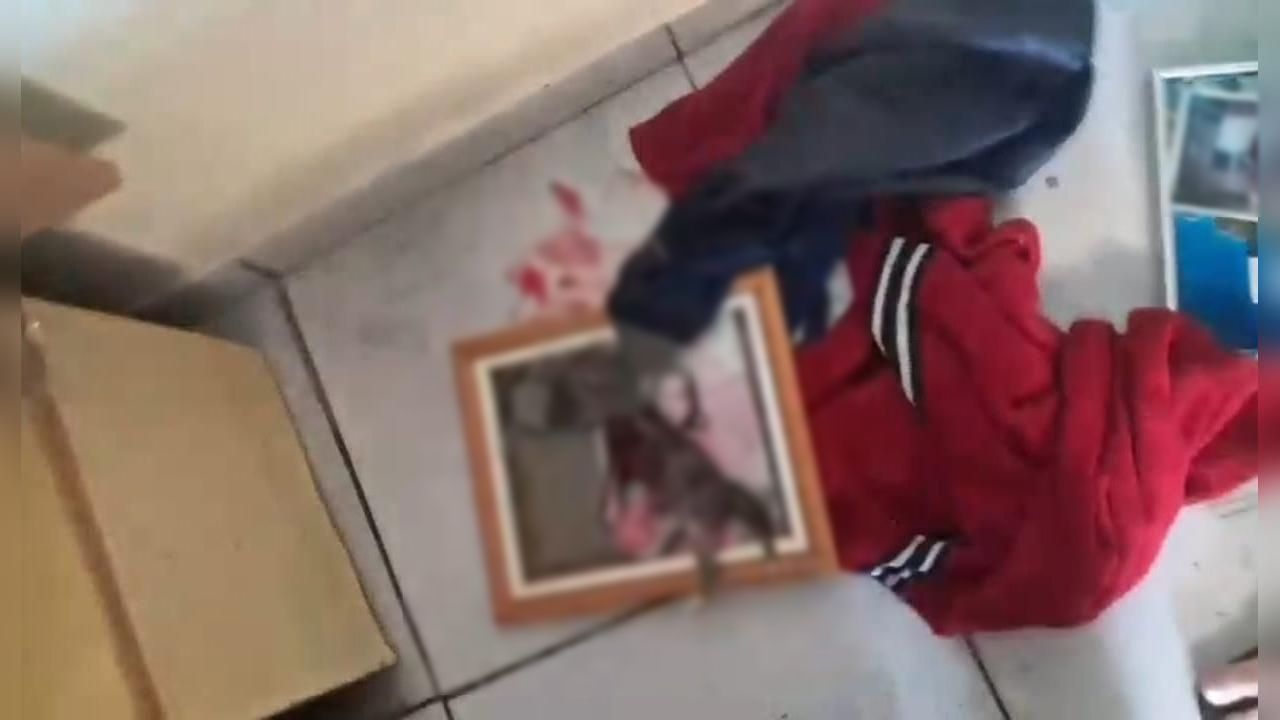 Homem de 28 anos é detido por violência doméstica e maus-tratos a animal na região Norte Imagem referente a Homem de 28 anos é detido por violência doméstica e maus-tratos a animal na região Norte