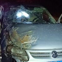 Capotamento deixa duas vítimas na PR-471, em Catanduvas Imagem referente a Capotamento deixa duas vítimas na PR-471, em Catanduvas