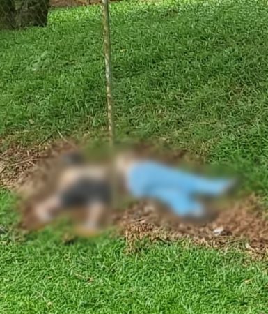 Imagem referente a Casal encontrado morto em campo de futebol pode ter sido vítima de overdose, diz DH