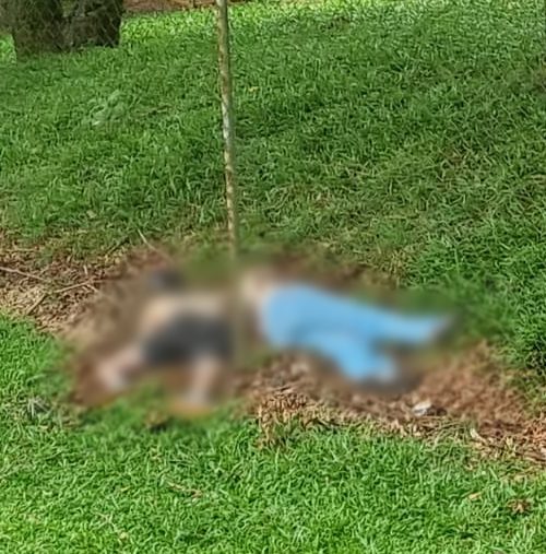 Imagem referente a Casal encontrado morto em campo de futebol pode ter sido vítima de overdose, diz DH