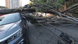 Cinco dias após ciclone, 30 mil clientes estão sem energia em SP Cinco dias após ciclone, 30 mil clientes estão sem energia em SP